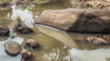 Kanha Ulusal Parkı, Hindistan. Nehir ve orman ağaçlarıyla kaplı bir manzara.