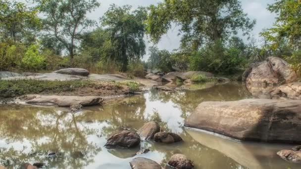 Kanha National Park, Indien. Landskap med flod och skogsträd. — Stockvideo