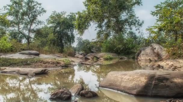 Park Narodowy Kanha, Indie. Krajobraz z rzeką i drzewami leśnymi. — Wideo stockowe