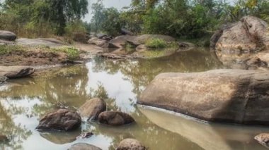 Kanha Ulusal Parkı, Hindistan. Nehir ve orman ağaçlarıyla kaplı bir manzara.