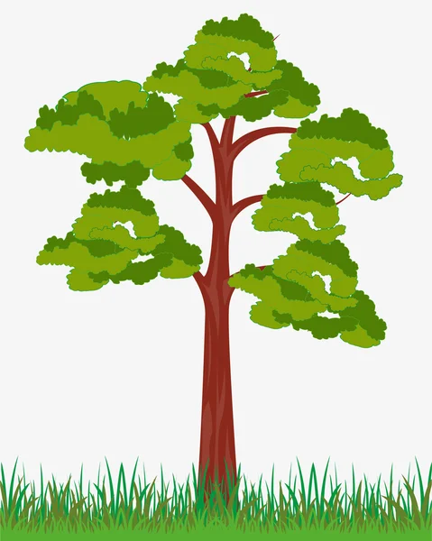 Árbol solitario sobre blanco — Vector de stock