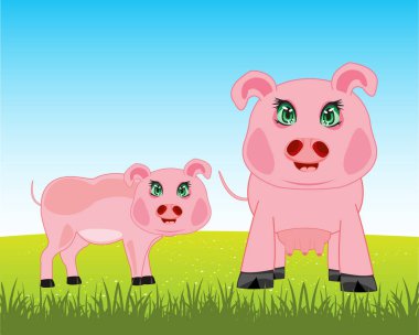 Domuzlar çayır üzerinde