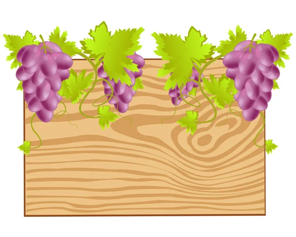 Rada skaní grape — Stockový vektor