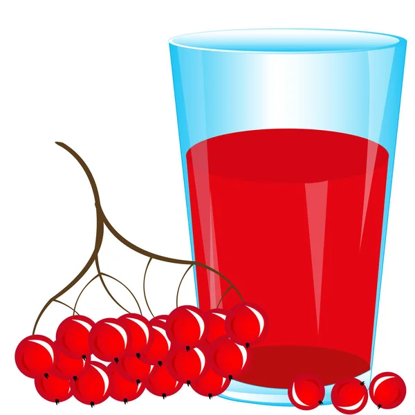 Saft aus Beeren — Stockvektor