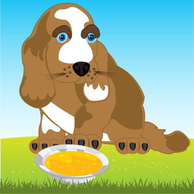 Köpek ve servis yemek ile