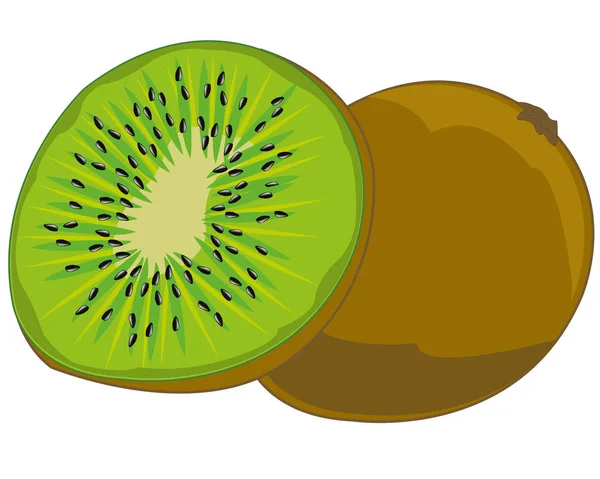 Kiwi aux fruits tropicaux — Image vectorielle