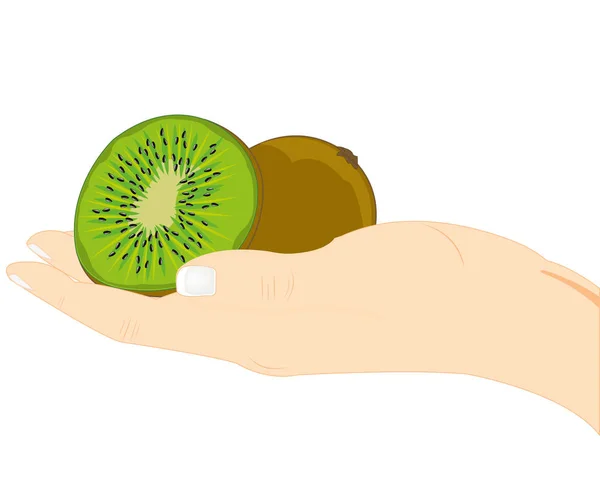 Fruits kiwi in de hand — Stockvector
