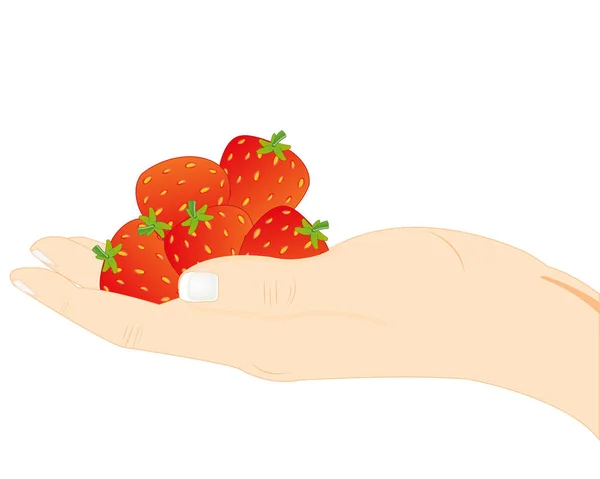 Hand with berry — Stock Vector