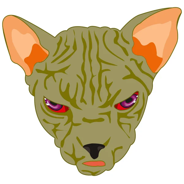 Mug du sphinx de chat — Image vectorielle