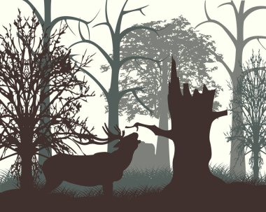 Deer in wood in the morning clipart