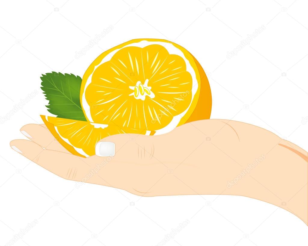 Fruit tangerine on palm