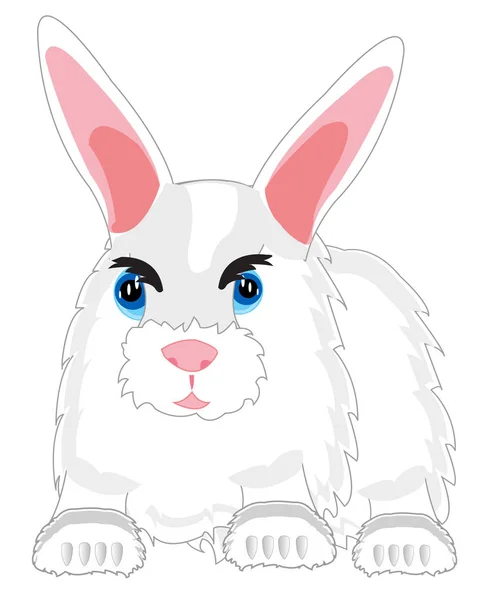 Tüylü hayvan tavşan — Stok Vektör