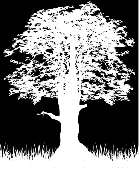 Silhouette tree on black — Stock Vector