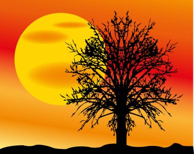 Güneş ile manzara ve ağacı