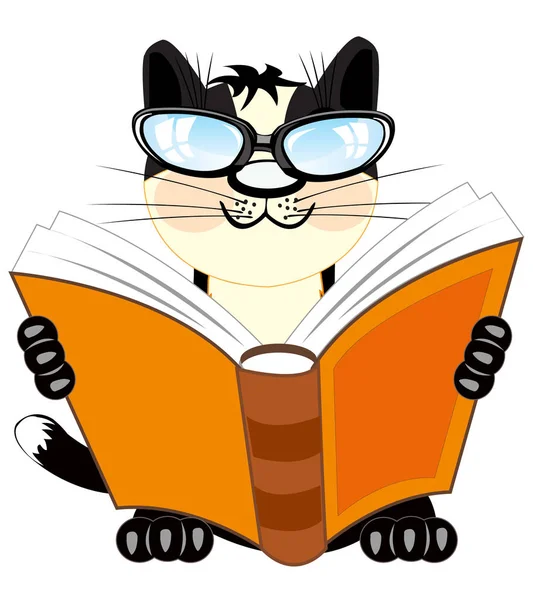 Katze mit Buch — Stockvektor