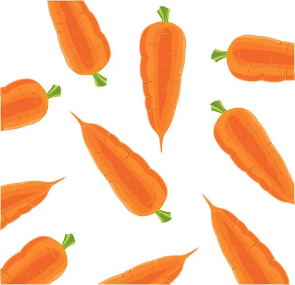 Vegetable carrot on white — Stock Vector