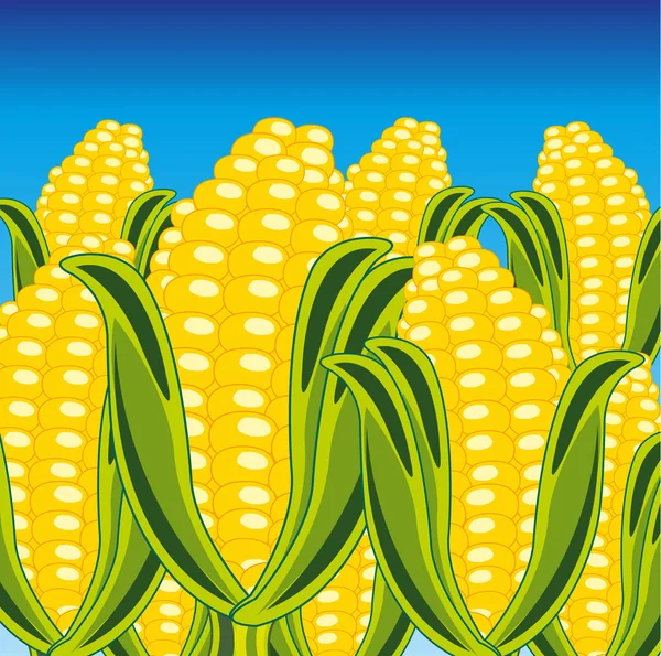 Поле спелой кукурузы — стоковый вектор