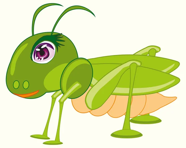 Saltamontes verdes de insectos — Vector de stock