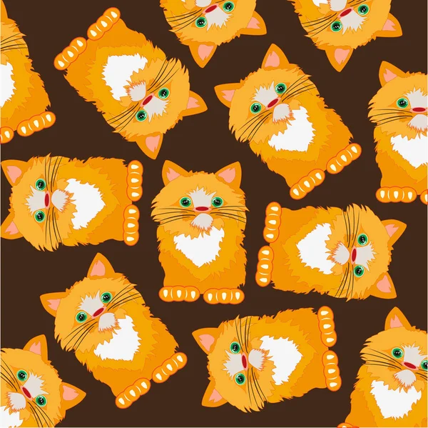 Güzel kızıl saçlı kedi