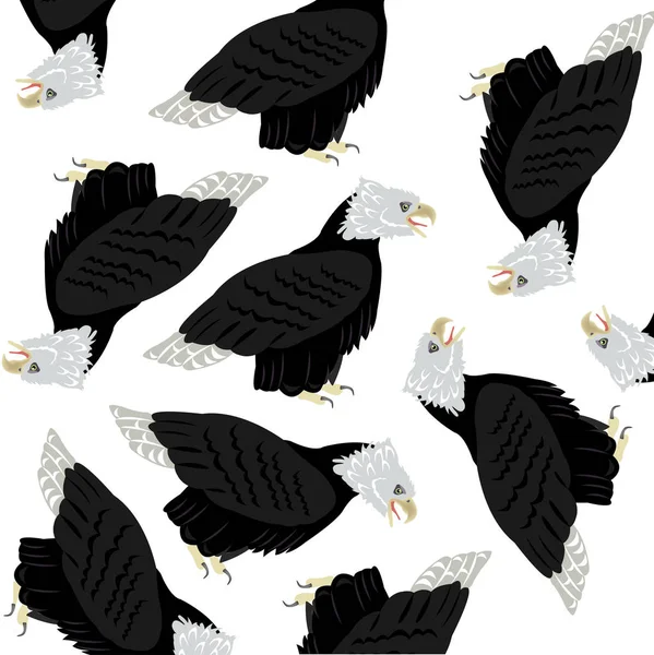 Vogel Adler auf weißem Hintergrund — Stockvektor