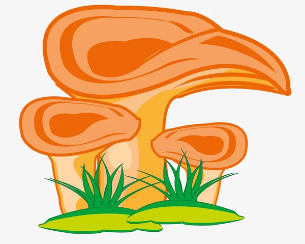 Fungus mushroom in herb — Stock Vector