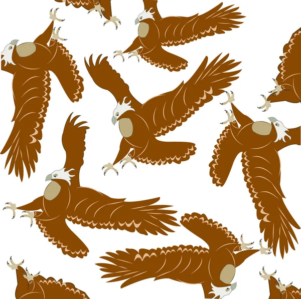 Modèle d'aigle oiseau — Image vectorielle
