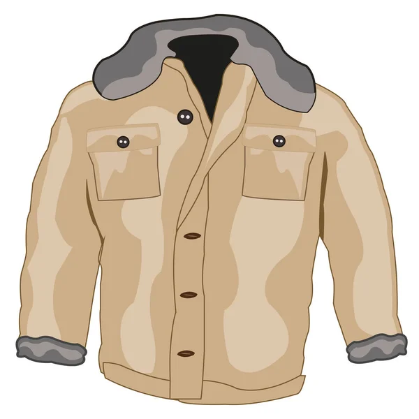 Jacket male winter — Stock Vector