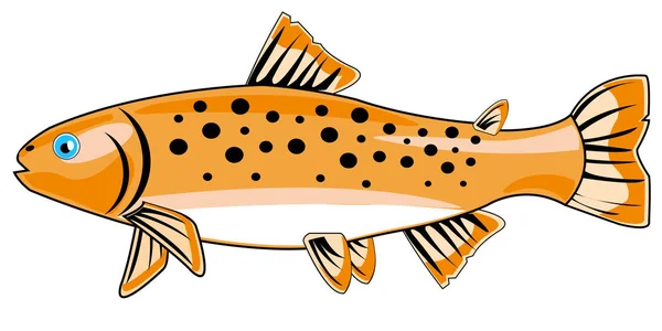 River fish trout — Stock Vector