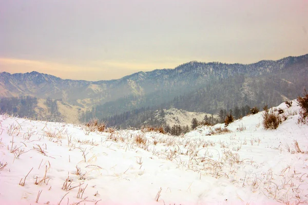 Kışın karla kaplı dağların manzarası — Stok fotoğraf
