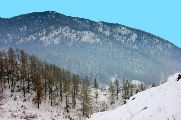 Bela paisagem de inverno das montanhas cobertas — Fotografia de Stock