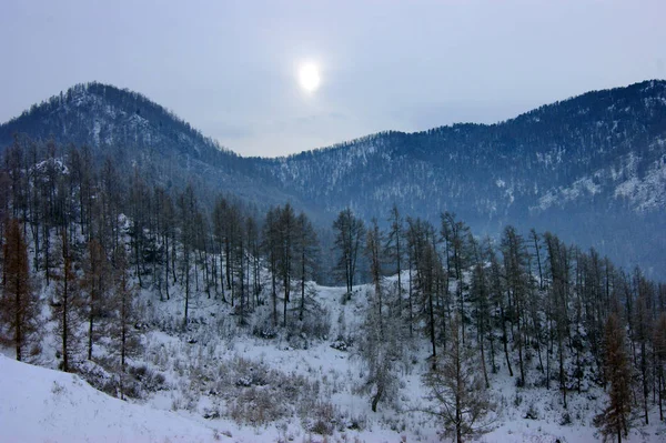 Paisagem de inverno dos topos de montanha cobertos de neve — Fotografia de Stock