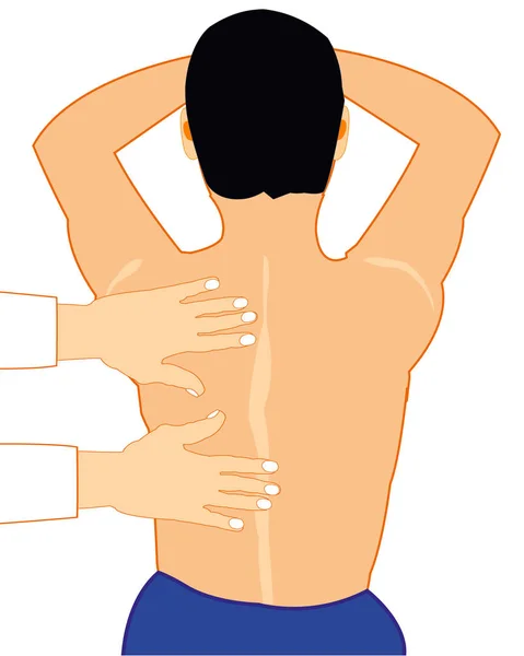 Vector illustration of the back of the person who do massage of the back — Stock Vector