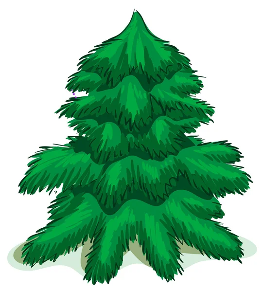 Green Christmas fir tree — Stock Vector