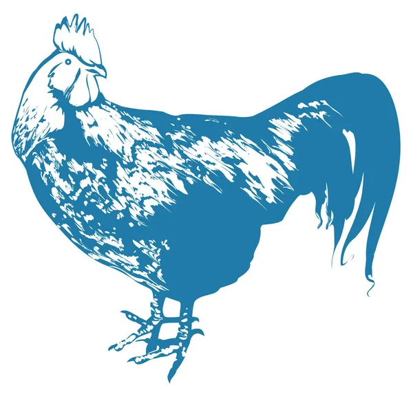 Blue Rooster símbolo 2017 por calendario chino. Silueta de polla realista — Vector de stock