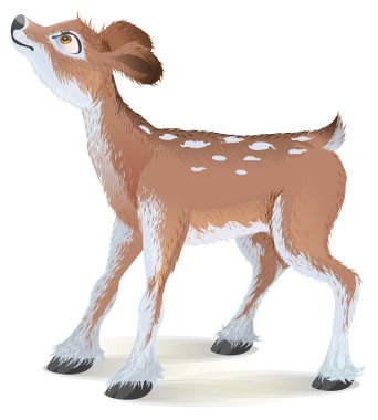 Kahverengi küçük geyik yavrusu kafasını kaldırdı