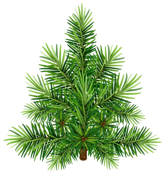 Zöld fenyő-karácsonyfa — Stock Vector