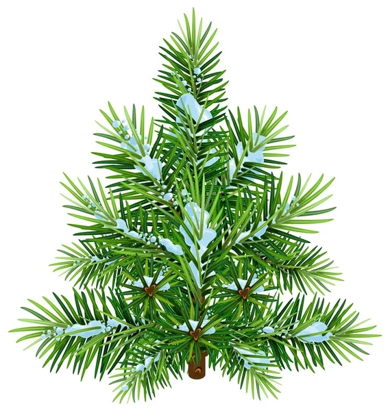Groene pluizig pine kerstboom in de sneeuw — Stockvector