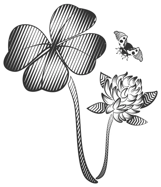 Glückliches vierblättriges Kleeblatt. Kleeblume und fliegender Marienkäfer — Stockvektor