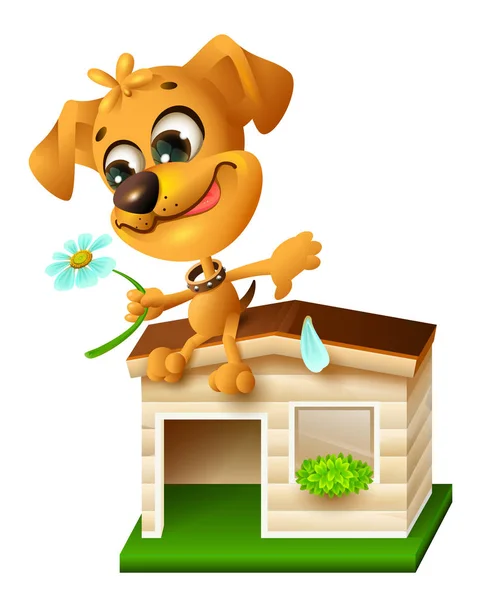 Köpek kulübesi üzerinde oturan ve papatya yaprağı yırtılma komik sarı köpek yavrusu — Stok Vektör