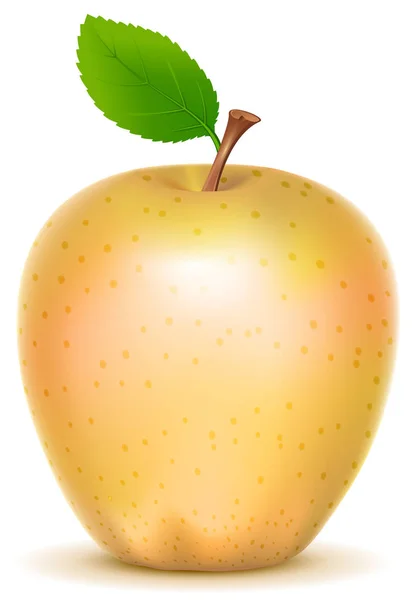 Amarillo manzana transparente tipo con hoja verde — Vector de stock