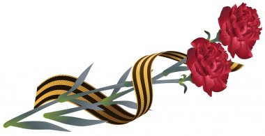 Kırmızı karanfil çiçek ve St. Georges şerit. Zafer Bayramı sembolü