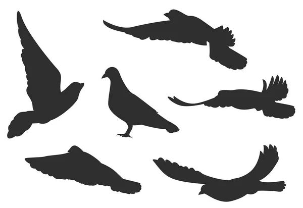 Définissez les mouches à pigeons. Silhouettes noires — Image vectorielle