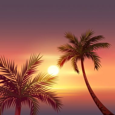 Tropik adada gün batımı. Siyah kırmızı gökyüzü palmiye ağacı silüeti