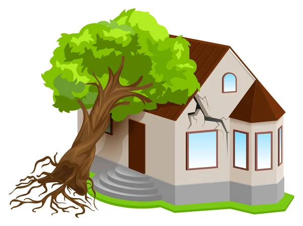 Assurance de biens contre les catastrophes naturelles. Tremblement de terre arbre tombé sur la maison — Image vectorielle
