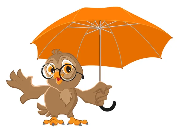 Hibou oiseau tient parapluie ouvert — Image vectorielle