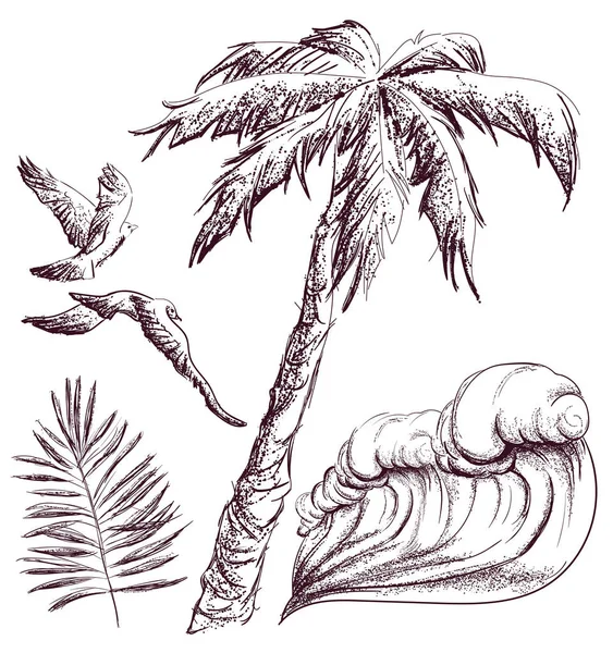 Palmiye ağacı, iki martılar ve dalga