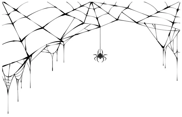 Black spider and torn web. Scary spiderweb of halloween symbol — Stock Vector