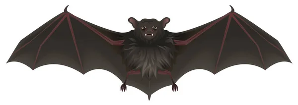 Bat vámpír éles fogakkal terjesztik a szárnyait. Halloween szimbólum tartozék — Stock Vector