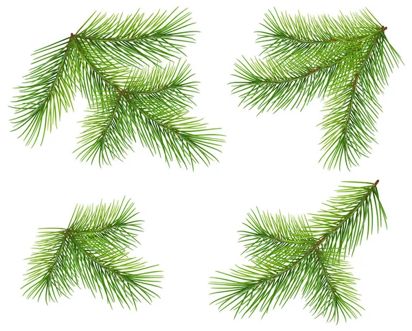 Conjunto de rama de pino verde aislado en blanco. Peluca de árbol de Navidad de abeto esponjoso exuberante — Vector de stock