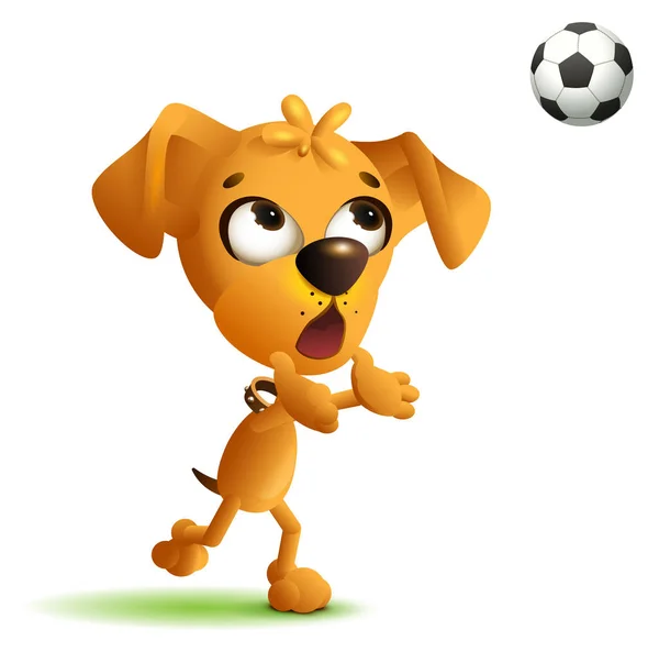 Lustiger gelber Hundetorwart fängt Fußballball — Stockvektor